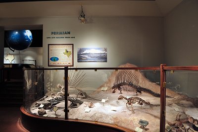 dinosaur museum exhibit