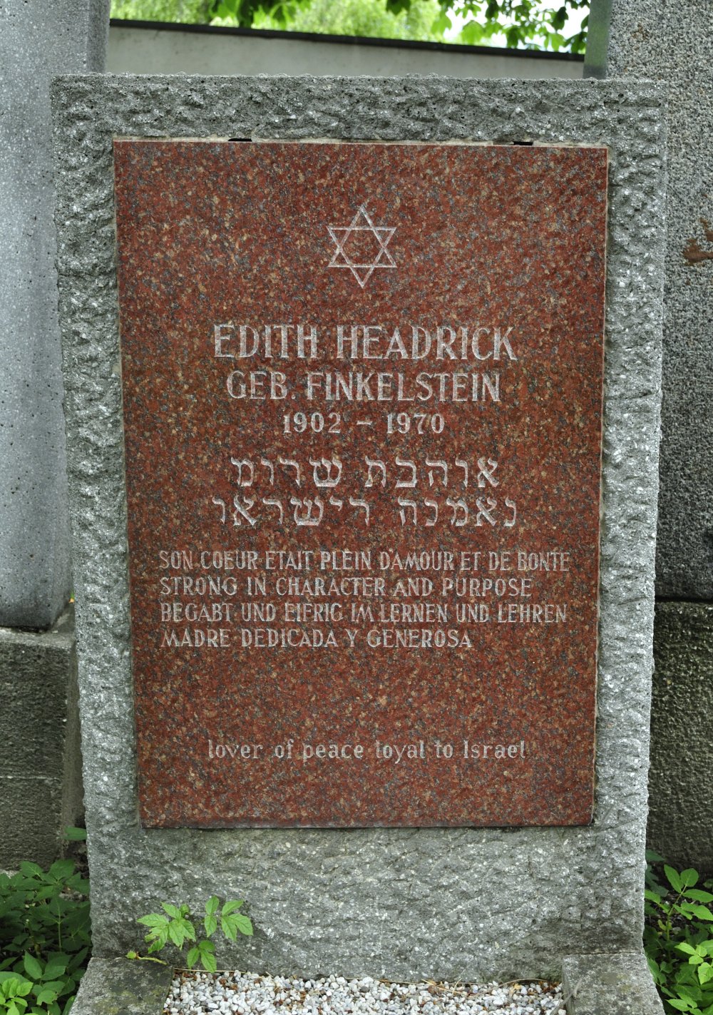 Edith Finkelstein grave