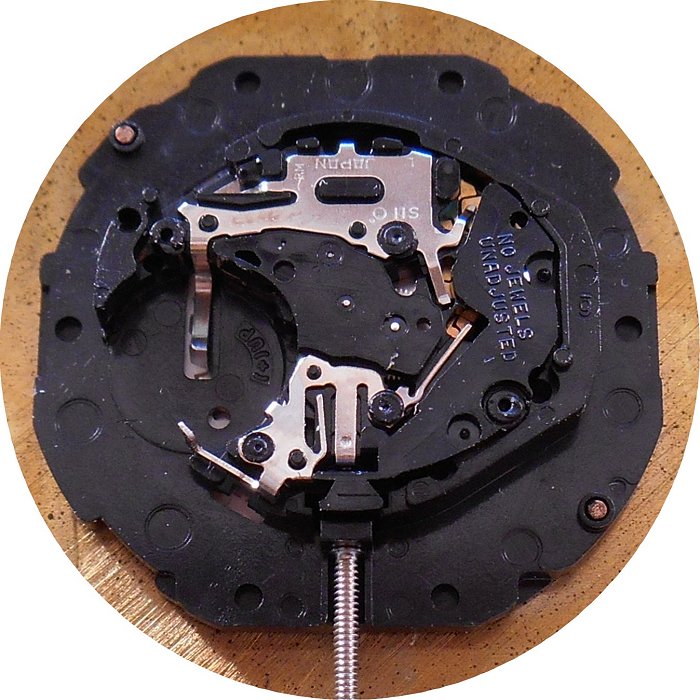 plastic quartz watch